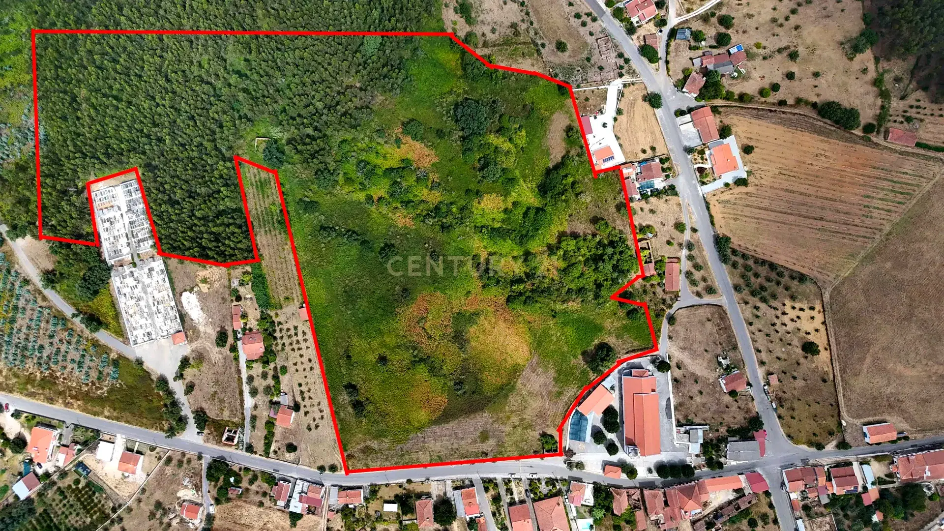 6.09 Hectare Mixed Land Plot with Ruin in Ferreira do Zêzere
