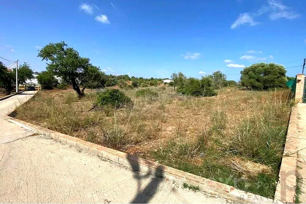Rustic Land Plot of 8,053 sqm in Olhão