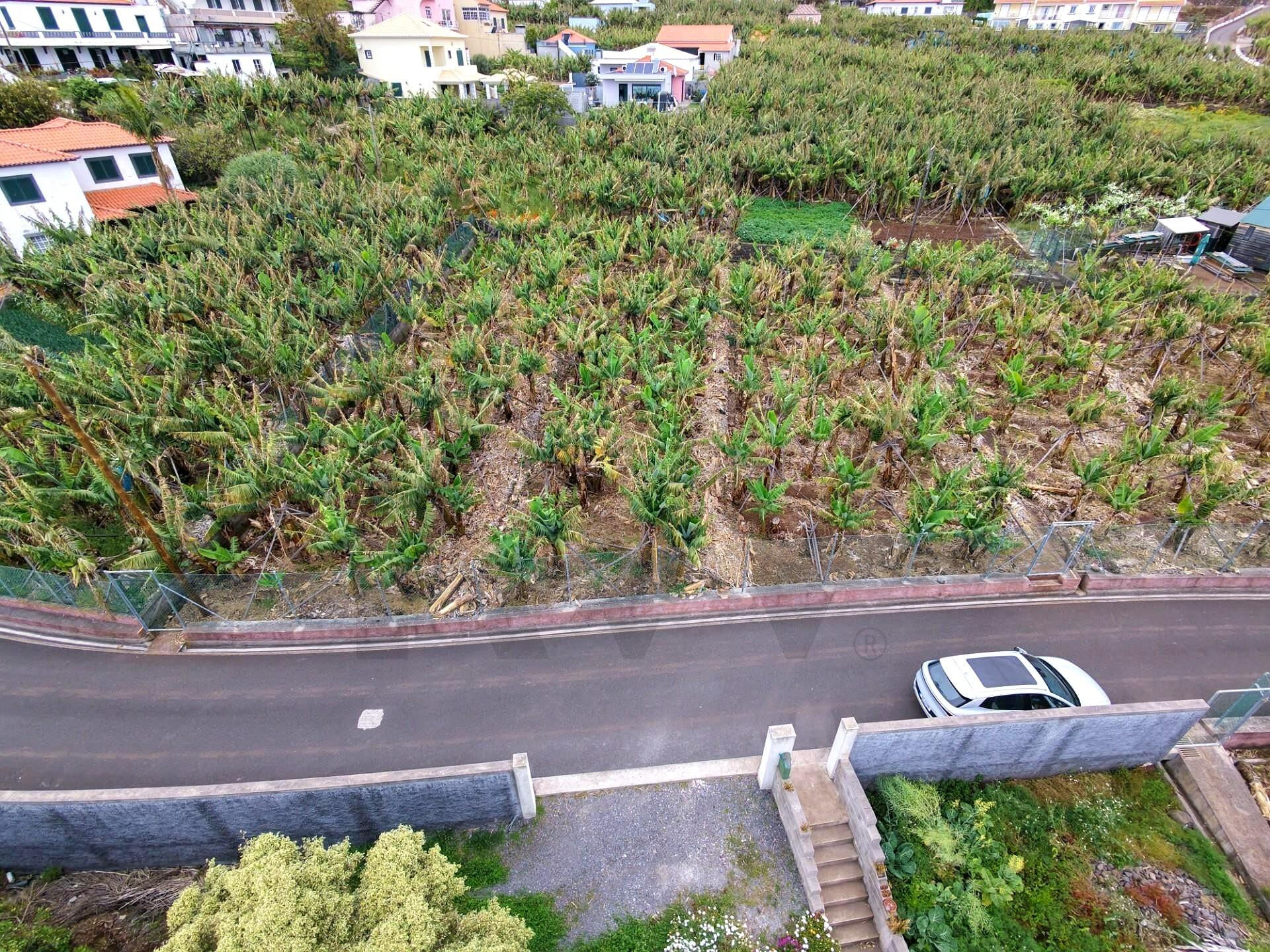 Exclusive Rustic Plot in Arco da Calheta – Sea View and Premium Location