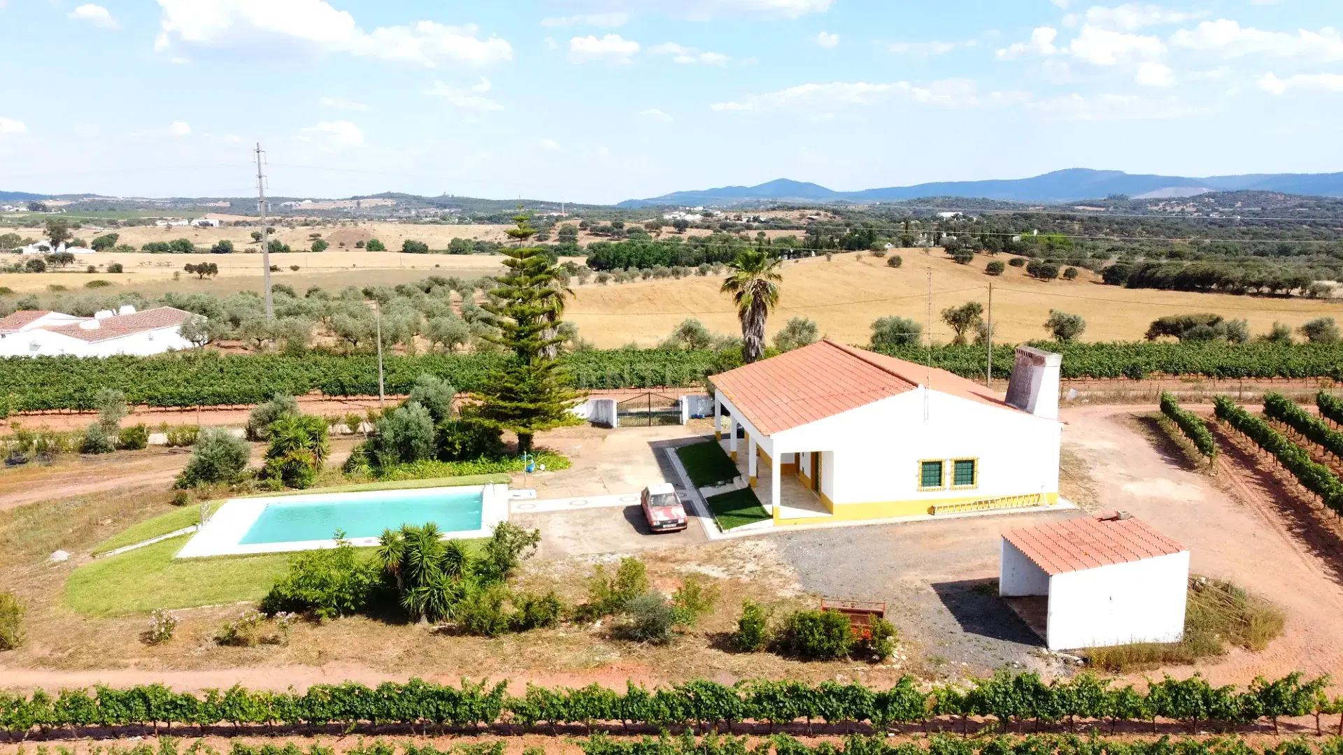 16.6 ha Vineyard Estate with Project in Estremoz