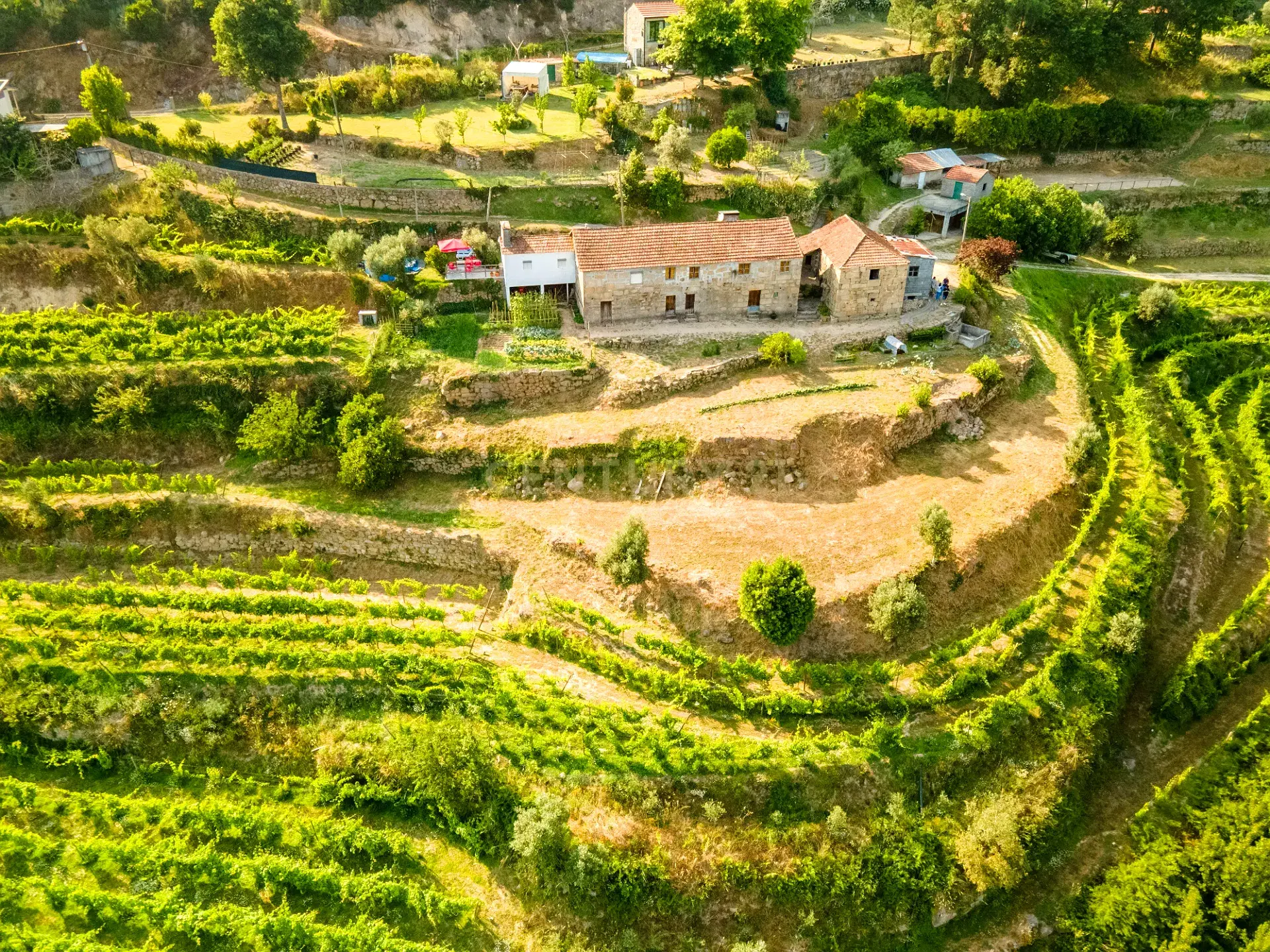 Charming Homestead with Panoramic Douro River Views and Approved Rural Hotel Project
