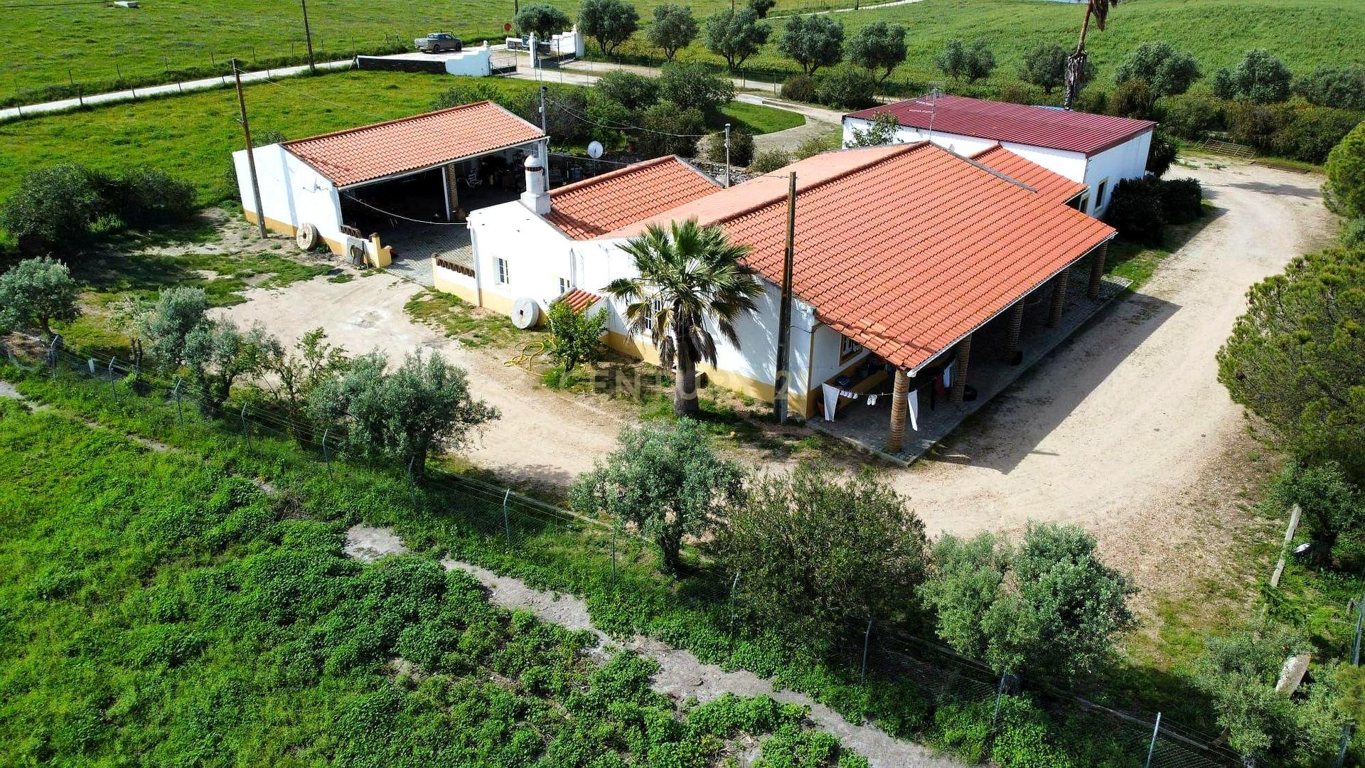 Alentejo Farm in Mourão