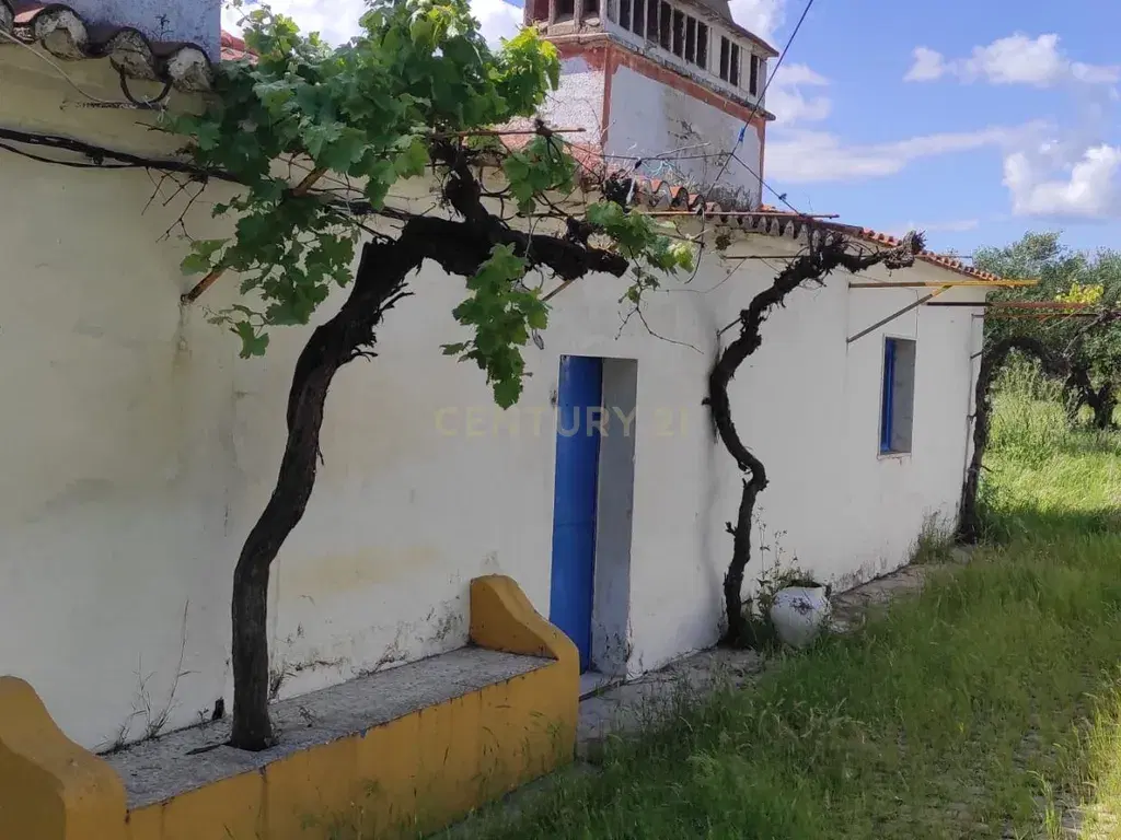Small Farm in Elvas