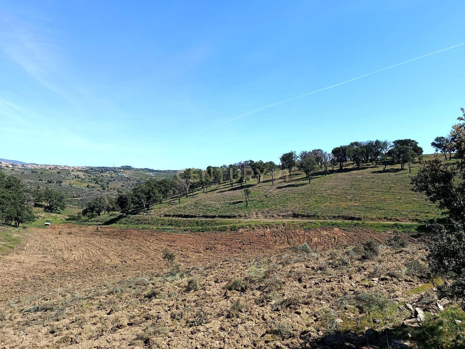 Stunning Almost New Property in Alfândega da Fé, Bragança