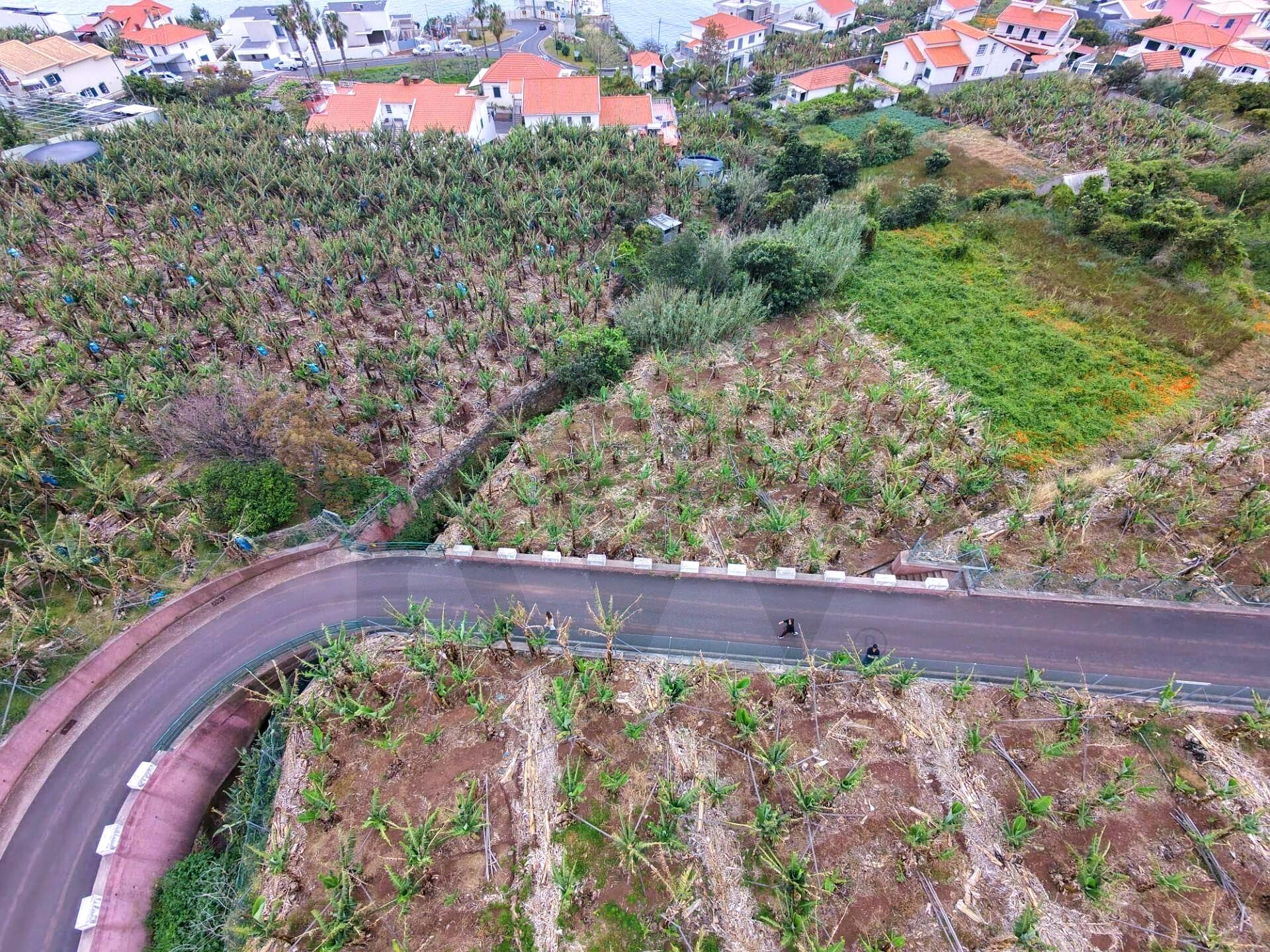 779 m2 Rural Land in Arco da Calheta