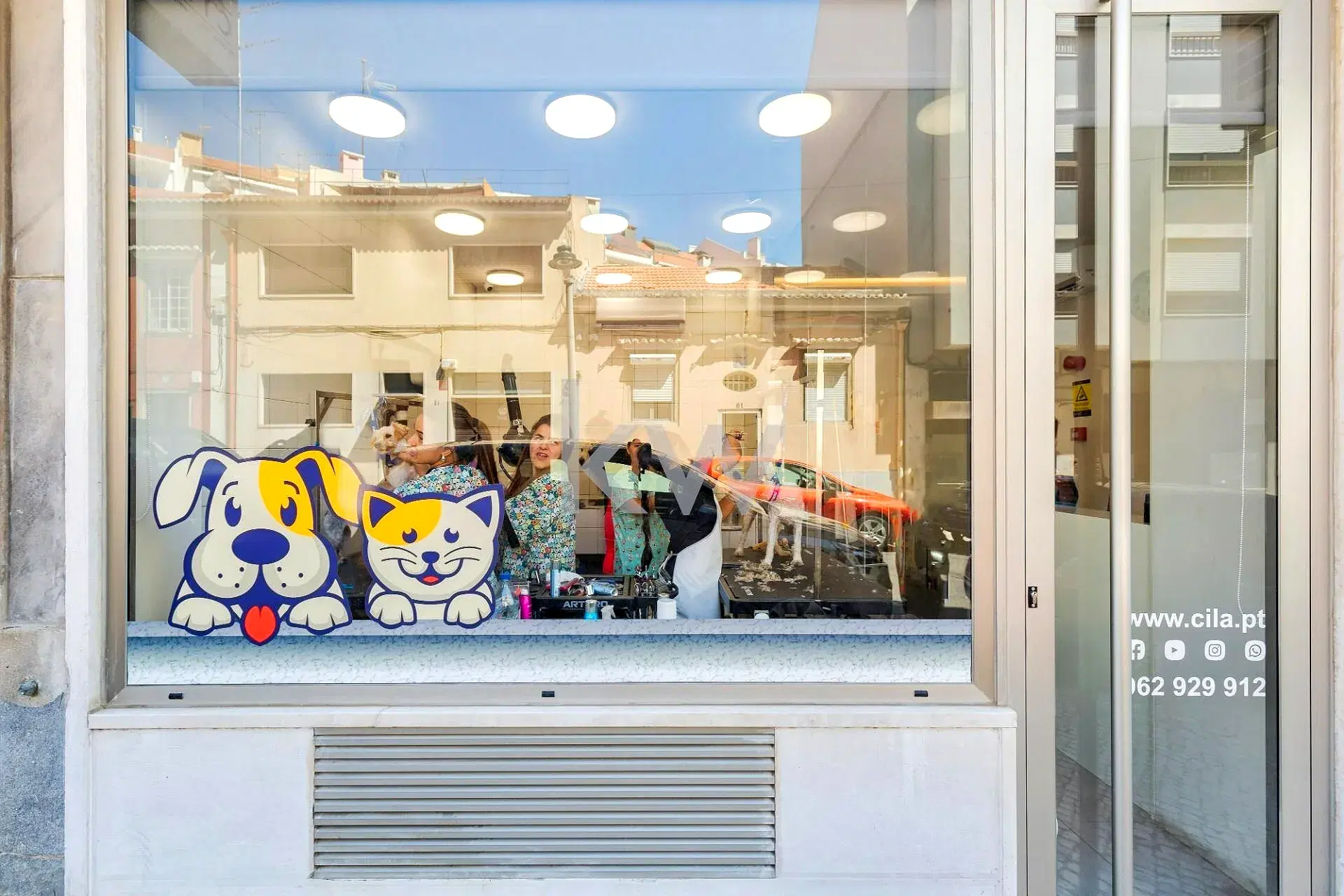 Shop in Avenidas Novas with Fully Operational Pet Grooming & Bathing Business