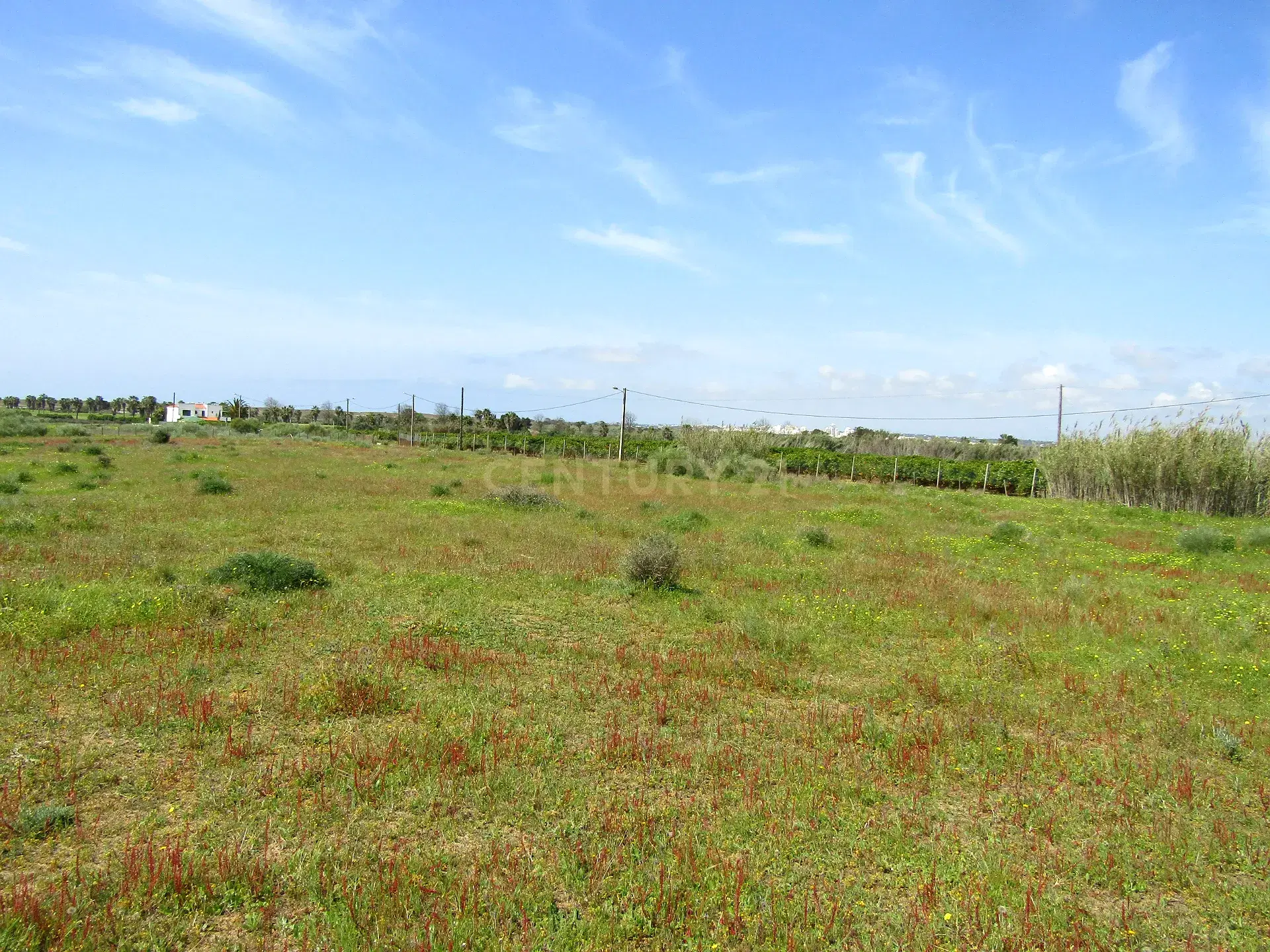 Rustic Land 15460 m²