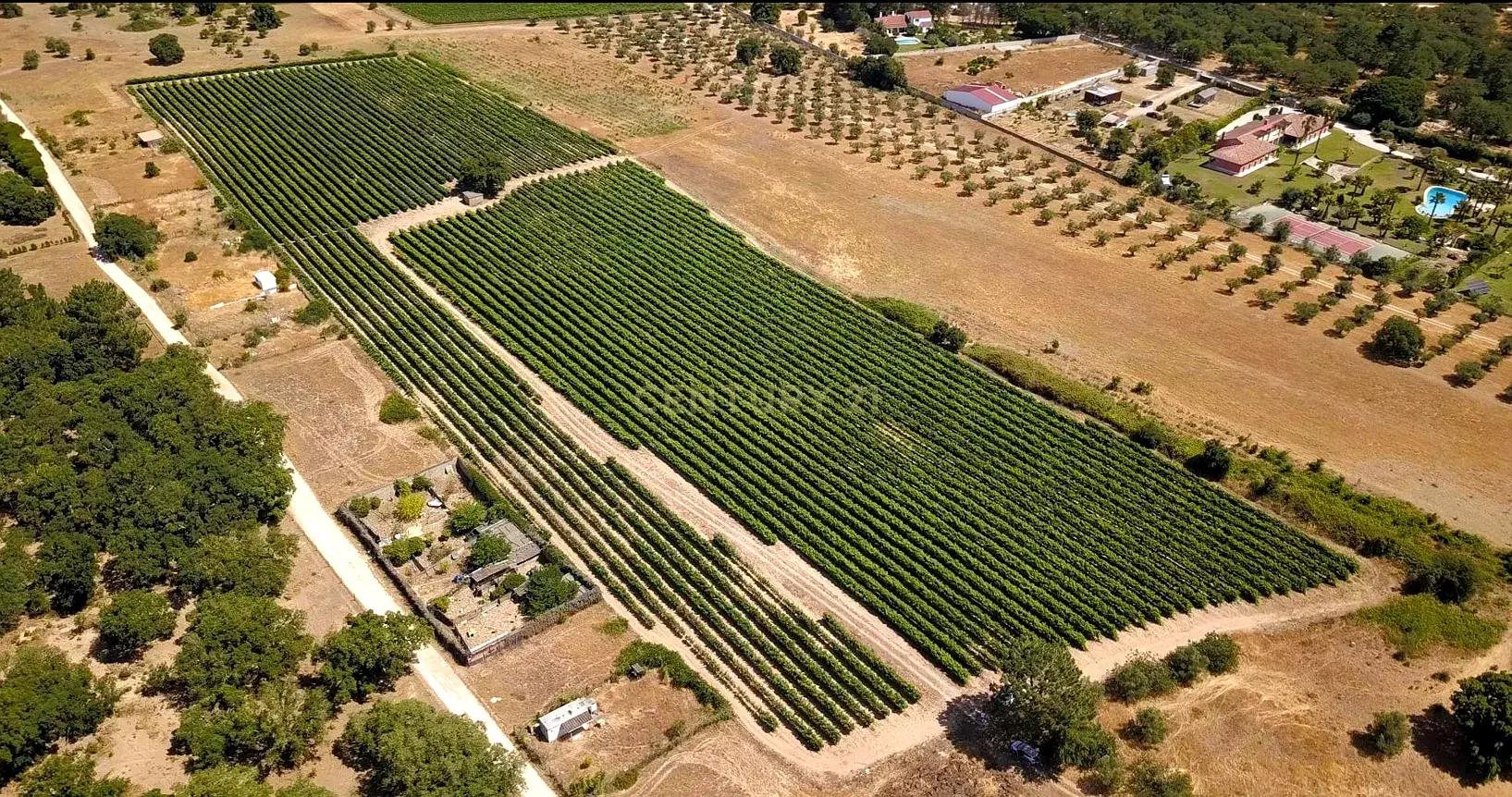 4 ha Farm Estate in Palmela