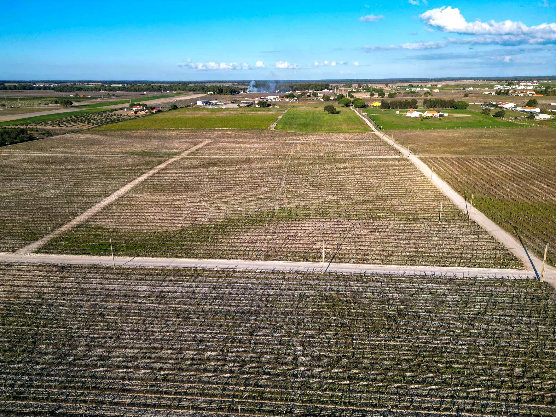 Sto. Isidro de Pegões, Palmela - Rustic Building with 60,200 m² Vineyard Plantation