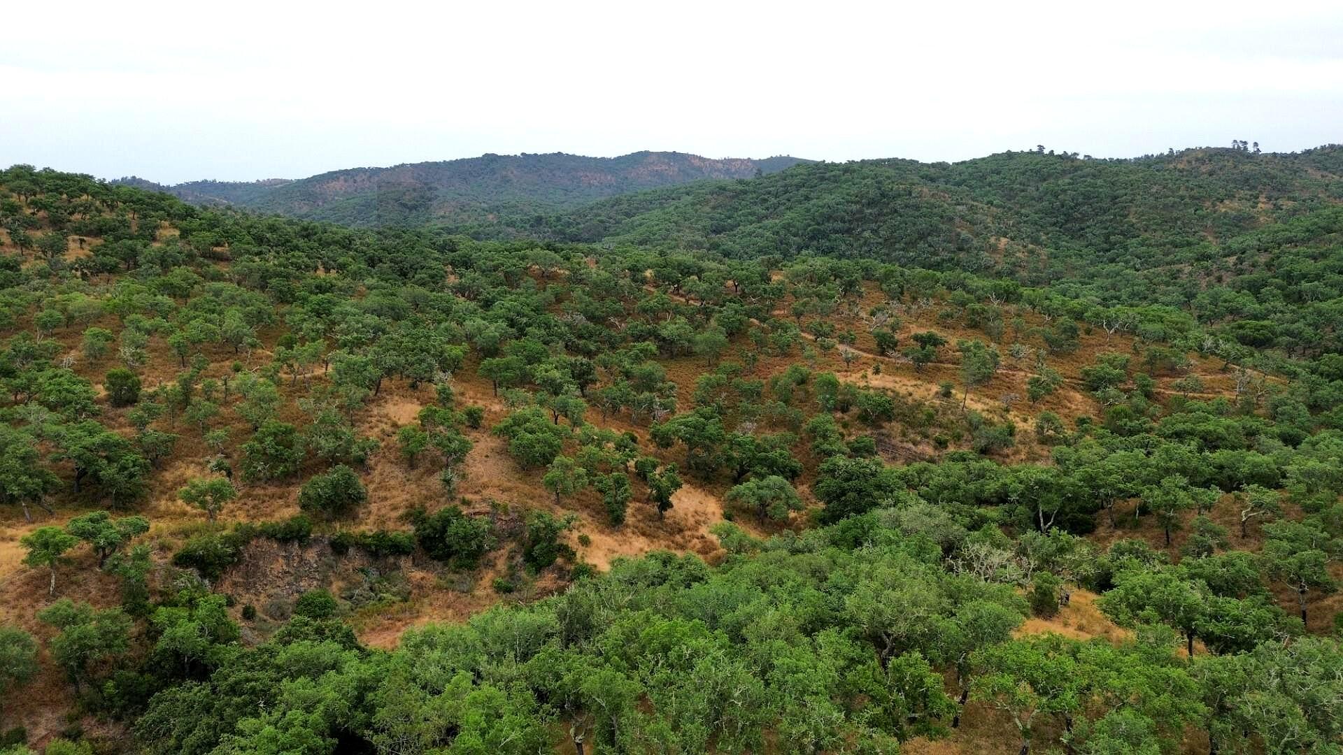 9.3 ha Land with Ruins and Building Potential