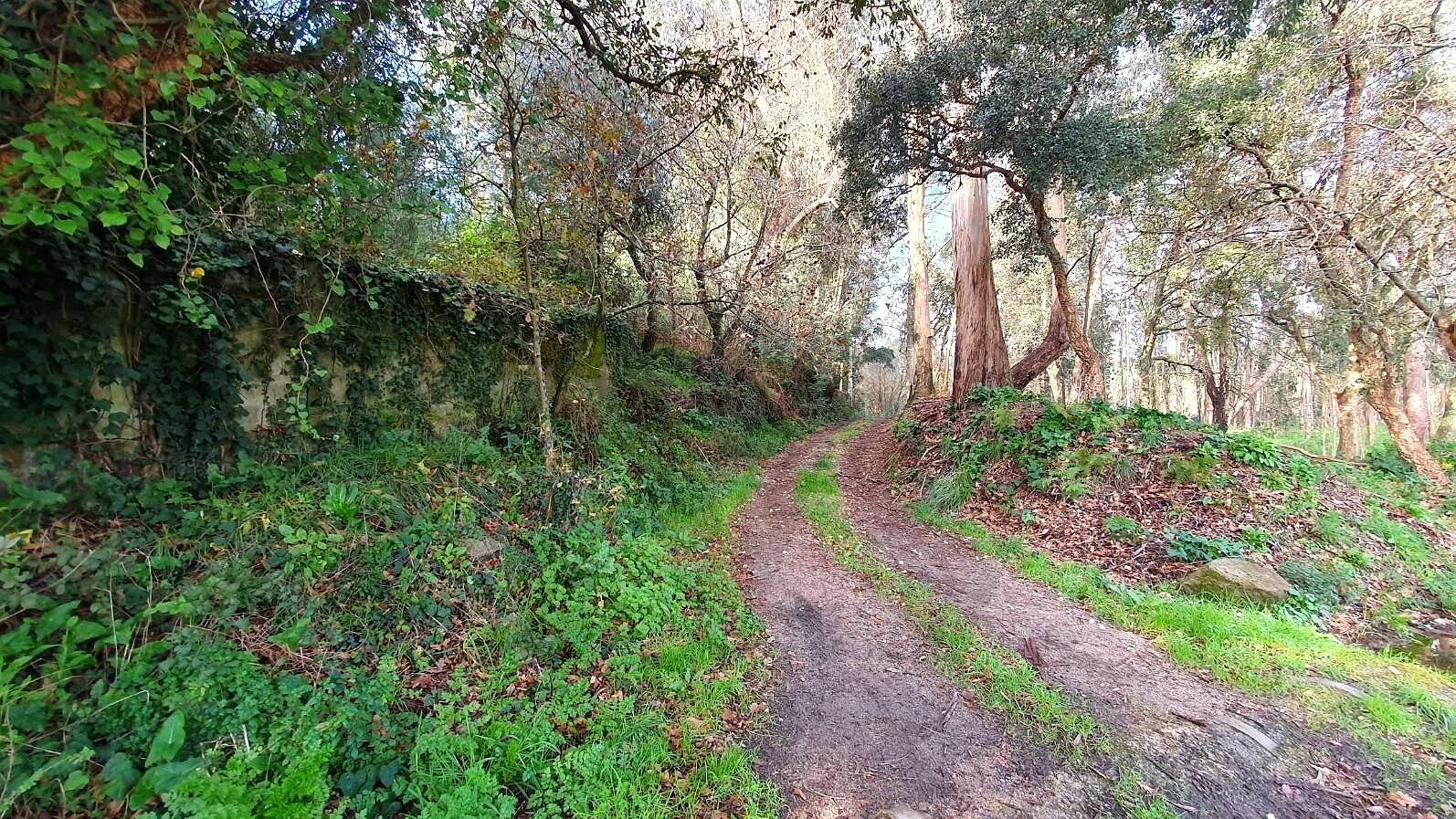 19,176 m2 Rustic Land with Agricultural Potential