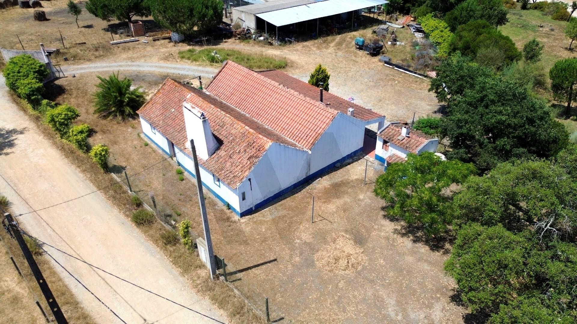 2.3 ha Farm with Sea Views in Sobreiras Altas, Grândola