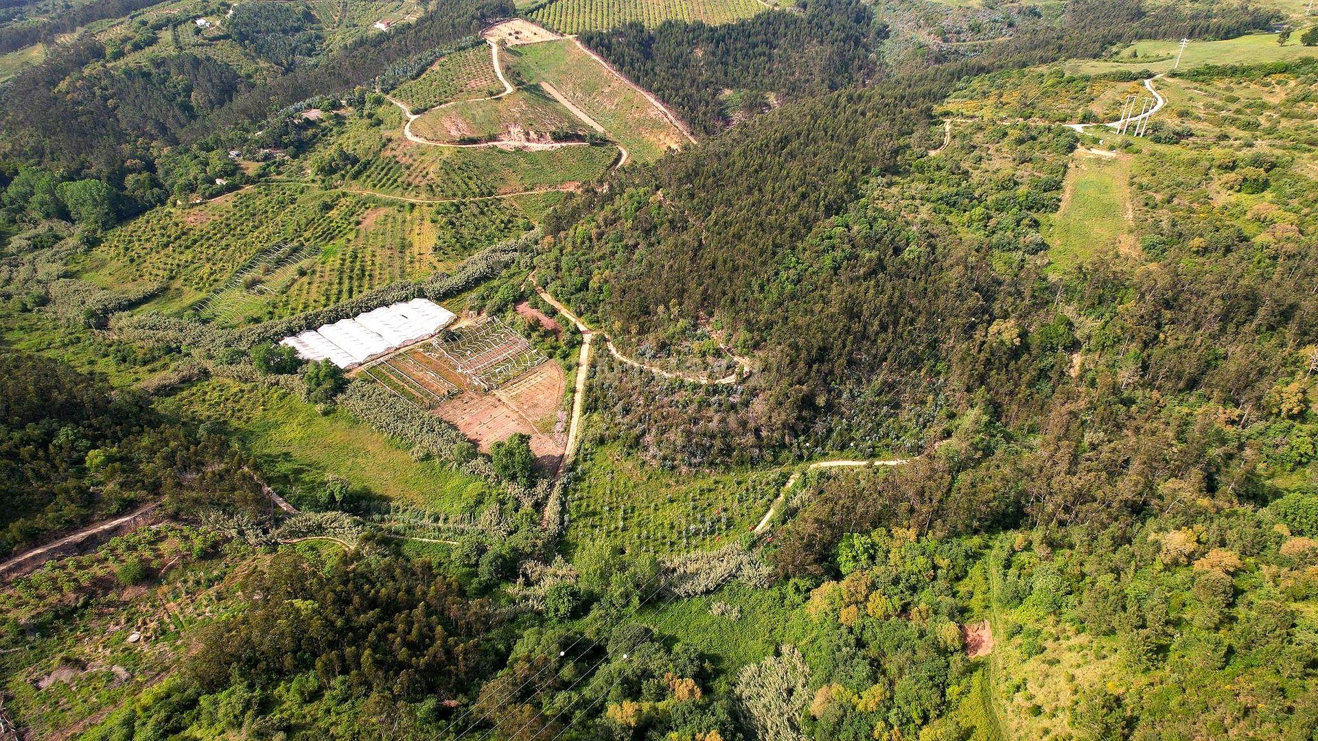 Rustic Land with over 1.5 Hectares in Mafra – Beautiful Views and Close to Ericeira