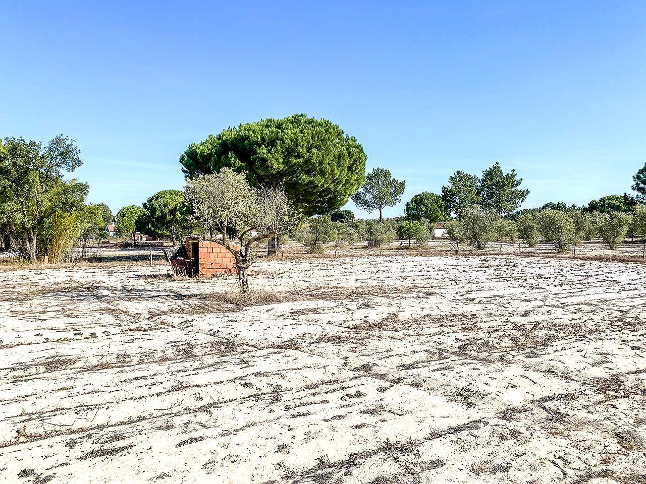 Rustic Land with Approved Building Project for Two Homes and a Pool in Grândola